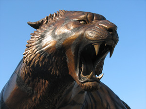 Matthew Weir's Tiger for St. Francis High School