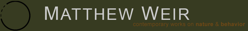 Matthew Weir &bull; Contemporary Works in Nature and Behavior