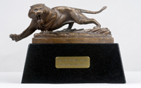 Matthew Weir: Mini Tiger
