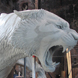 Matt Weir's Bronze Tiger Sculpture