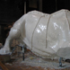 Matt Weir's Bronze Tiger Sculpture